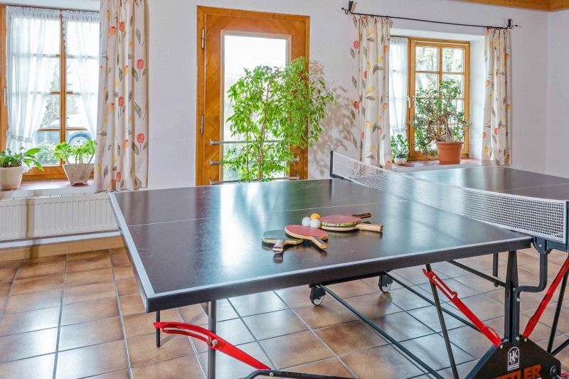 Tischtennis Fitnessgeräte Freizeitmöglichkeiten